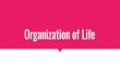 Organization of Life - WordPress.com · 2017. 4. 6. · Kingdom Protista - Dinoflagellates A group of unicellular organism found in pond water belonging to Kingdom Protista. Features: