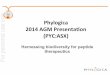 Phylogica* For personal use only 2014*AGMPresenta7on* … · 2014. 11. 27. · Harnessing biodiversity for peptide therapeutics Phylogica* 2014*AGMPresenta7on* For personal use only