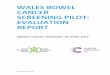 WALES BOWEL CANCER SCREENING PILOT ......letter plus the full kit enhancement pack (containing gloves & poo catcher) (intervention C) increased uptake amongst non-responders (2.4%