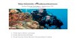 Scuba Diving Packages Adventure DK · PDF file 2013. 8. 28. · Scuba Diving Packages ... Extra charges per dive trip to the reef - AUD$60 (Various levies and admin charges) 2. PADI