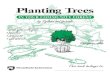 Planting Trees...Planting Trees IN YOUR COMMUNITY FOREST by Sylvan and friends Inside you will find: • puzzles • projects • and more! For 9- to 109-year-olds Sylvan and friends
