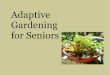 Adaptive Gardening for Seniors · 2019. 3. 22. · existing garden for senior use, adaptive gardening tools and container gardening. Adapting an existing garden It is possible to