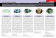 HOJA 09 Gemas ESPAÑOL - IGME · 2018. 5. 14. · piedra preciosa en valoración comercial. Muchas aguamarinas de buena calidad provienen del calentamiento a 400-500ºC de berilos