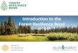 Introduction to the Forest Resilience Bond · 2020. 8. 21. · Introduction to the Forest Resilience Bond August 2020. ... Forest Resilience Bonds(FRBs) = proven public-private partnerships