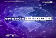 2019 ANNUAL INSIGHTS REPORT - emergeamericas.com€¦ · emerge insights 2019 annual insights report 2 3 table of contents. letter from the emerge americas team 4 about . emerge americas