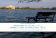 WASHINGTON, D.C. AND THE SURGING SEA · Washington, D.C. is likely to see record flooding by 2040 under a mid-range sea level rise scenario. A low- range scenario leads to a better-than-even