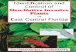 Identification and Control of - FLEPPC · 2016. 4. 11. · Non-native invasive plants are also commonly called exotic plants, invasive exotic plants, noxious weeds, and more. Note: