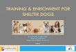 TRAINING & ENRICHMENT FOR SHELTER DOGS - Petfindermembers.petfinder.com/~adoptionoptions/Detroit_AO... · 2015. 5. 11. · Used to assess a dog’s reactions to exercises which mimic