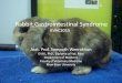 Rabbit Gastrointestinal SyndromeRabbit Gastrointestinal Syndrome Asst. Prof. Sompoth Weerakhun DVM., PhD., Diploma of Vet. Med Department of Medicine Faculty of Veterinary MedicineIntroduction