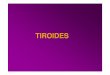 Teorico 19 Endocrino II - Facultad de Ciencias Médicas · 2014. 4. 8. · glucocorticoides: hidrocortisona, corticosterona ... a glucogeno tejido adiposo: degradacion de lipidos