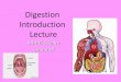Digestion Introduction Lecturea) digests dipeptides into amino acids. 2. Maltase—changes maltose to glucose. 3. Lactase—changes lactose to glucose. 4. Sucrase—changes sucrose