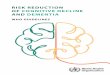 RISK REDUCTION OF COGNITIVE DECLINE AND DEMENTIA · 2020. 7. 8. · v FOREWORD Dementia is a rapidly growing public health problem affecting around 50 million people around the world