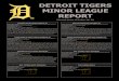 DETROIT TIGERS MINOR LEAGUE REPORT - MLB.com...Anthony Vasquez started and pitched 8.0 innings, allowing one run, on six hits, with seven strikeouts. Jeff Ferrell pitched a inning