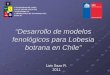 “Desarrollo de modelos fenológicos para Lobesia botrana en Chile” modelos... · 2015. 11. 30. · “Desarrollo de modelos fenológicos para Lobesia ... Es posible desarrollar