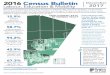 2016Census Bulletin...of movers (42.9%), followed by Mississauga (35.2%) and Caledon (33.9%). Of Peel’s residents who moved in this timeframe, 78.7% came from within Ontario. In