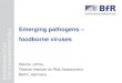 Emerging pathogens TUNG - BfR · 2018. 6. 26. · Emerging pathogens - foodborne viruses - Presentation, 30 November 2017 Keywords: Mit Farbwelt Created Date: 12/27/2017 2:40:03 PM