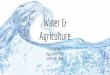 Water & Agriculture · 2018. 9. 9. · Water withdrawals: The quantity of water withdrawn from a source, such as a river, aquifer, lake. Water consumption: The quantity of water actually