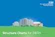 Structure Charts for DBTH...Structure Charts for DBTH Version: July 2020 v1. David Purdue Deputy Chief Executive and Director of Nursing, Midwifery and Allied Health Professionals