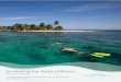 Snorkeling the Reefs of Belize · 2018. 5. 24. · Belize is also blessed to have an outstanding archeological heritage. ... certiﬁed SCUBA divers with excellent diving opportunities