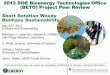 2013 DOE Bioenergy Technologies Office (BETO) Project Peer … · 2016. 5. 10. · 2013 DOE Bioenergy Technologies Office (BETO) Project Peer Review . Short Rotation Woody Biomass