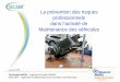 La prévention des risques professionnels dans l’activité ... · Christophe MURE – Ingénieur Conseil CRAMIF ... de l’Île-de-France : • 503.217 sections d’établissements;