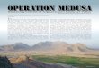 Operation MEDUSA - arsof-history.orgOperation MEDUSA was designed to open Highway 1, stop the Taliban advance on Kandahar, and clear the Panjwayi Valley of insurgents.”14 LTC Bolduc