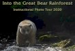 Natural Art Images: The Photography of Brad Hill: Home ... Exposing Nature’s Art seminars@naturalart.ca he Into the Great Bear Rainforest Instructional Photo Tour 2020 combines a