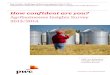 Agribusinesses Insights Survey 2013/2014€¦ · 2013/2014 Key trends, ... the agricultural industry on two levels: firstly, we want to support the business leaders in agribusiness