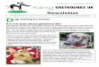 Newsletters300889640.websitehome.co.uk/uk/forms/Autumn 12 web.pdf · greyhound in them) and brought them over to the UK to find them loving homes. Welcome to our Autumn - Winter 2012