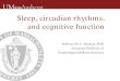 Sleep, circadian rhythms, and cognitive function · 2017. 4. 29. · Sleep, circadian rhythms, and cognitive function . Disclosures ... Title of presentation goes here Author: Rebecca