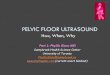 PELVIC FLOOR ULTRASOUND - Phyllis Glancphyllisglanc.com/Pelvic Floor US SAR 2018_Glanc V2.pdf · Symptoms of pelvic floor dysfunction are poorly correlated with findings on clinical