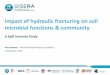 Impact of hydraulic fracturing on soil microbial functions ... · Study objectives To assess the potential impacts as a result of a spill of HF and produced water on soil microbial