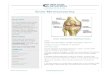 Knee meniscectomy - Twin Cities Orthopedics€¦ · Knee meniscectomy andrewarthurmd.com 1 Overview This is a protocol that provides ... • Local pain medications were used at the