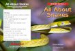 All About Snakes LEVELED BOOK J A Reading A Z Level J Leveled Book All About Snakes · 2019. 2. 20. · Other snakes carry their eggs in their bodies. The eggs hatch in their bodies,