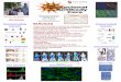 2018 Poster - HMS Core Facilities€¦ · by shots immotnlizcd antigen bead gcn antibodies Antibodies can be eluted from antigen in high salt Take whole blood from immunized rabbit