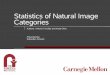 Statistics of Natural Image Categories - EECS at UC Berkeleyefros/courses/LBMV07/presentations… · Statistics of Natural Image Categories Authors: Antonio Torralba and Aude Oliva
