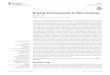 Energy Homeostasis in Monotremes - energy homeostasis in... · literature to refer to monotremes, marsupials, and some placentals, particularly when discussing thermoregulation (Johansen,