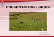 PRESENTATION : BRICS - RPOPRESENTATION : BRICS Gerhard Schutte Chief Executive Officer •CHINA – biggest export opportunity –Farmers in China receive R82 p/kg –South African