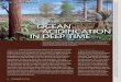 Oceanography t b acidiFicatioN iN deep timeKump, timothy J. bralower, a Nd aNdy ridgwell oceaN acidiFicatioN iN deep time reconstruction of alexander island fossil forests, antarctica,