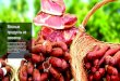 Мясные продукты из свининыalmati.kkmsite.info/assets/47/87/46/ca236fc0a167917e0e87... · 2016. 12. 7. · Мясные продукты из свинины