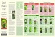 Don’t Gardening Responsibly Ornamental Grasses€¦ · Santa Barbara sedge (Carex barbarae) , San Diego sedge (Carex spissa), Bigelow’s nolina (Nolina bigelovii) New Zealand flax