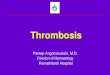 Treatment of Venous Thromboembolismtsh.or.th/file_upload/files/06 Pantep -VTE.pdf · Cancer Screening in Patients with VTE • Optimal occult cancer screening strategy remains unclear