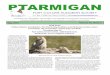 PTARMIGAN - Fort Collins Audubon · 2018. 5. 28. · PTARMIGAN Promoting the appreciation, conservation, and restoration of ecosystems, focusing on birds and other wildlife through