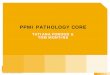 TATIANA FOROUD & TOM MONTINE - ppmi-info.org...Jun 03, 2018  · TATIANA FOROUD & TOM MONTINE. Pathology Core Infrastructure Indiana University Pathology Core. Stanford University