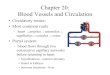 Chapter 20: Blood Vessels and Circulationinstructors.butlercc.edu/sforrest/apch20.pdf · Chapter 20: Blood Vessels and Circulation • Circulatory routes: • Most common route –