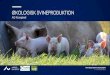 ØKOLOGISK SVINEPRODUKTIONorgprints.org/31190/13/Intro til økologisk svineproduktion AGK Fra... · Økologivejledning 2016 Søer på græs i sommerhalvåret Slagtesvin kan holdes