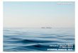 Finnlines Interim Report Q1 2016 - GlobeNewswire · 2016/5/11  · trailer units (measured in tons) increased by 5 per cent and exports increased by 1 per cent compared to the same