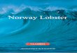 Norway Lobster - Taabbel...From Fish Industry to Food Industry Taabbel was founded in 1896 in Thisted and is a solid and stable company which has developed from a minor fish industry