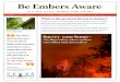Texas A&M Forest Service Home Page - IT’S THE LITTLE ......IT’S THE LITTLE THINGS THAT COUNT Embers, also known as firebrands, pose the greatest threat to a home. These fiery little