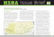 HSBA · 111The aa rehhmrsbghmo nTDrf 1 HSBA Issue Brief Introduction and key findings The UN arms embargo on Darfur— imposed in 2004, expanded in 2005, and elaborated in 2010 with